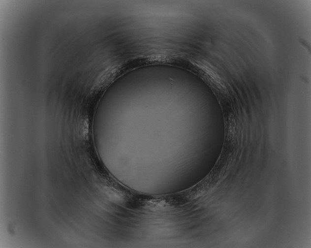 X0000091910502200709191322