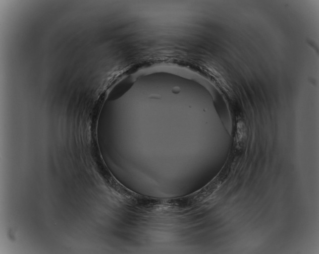 X0000091910504200709191322