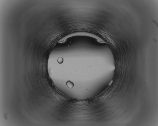 X0000091910505200709191322