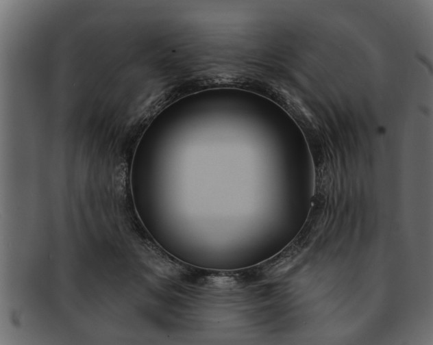 X0000091910509200709191322