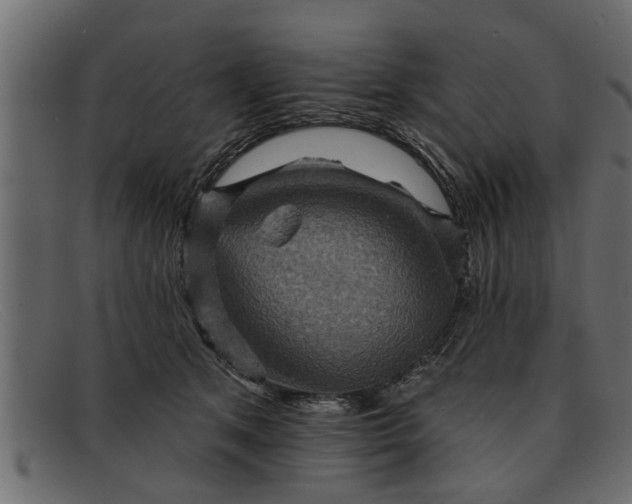 X0000091910513200709191322