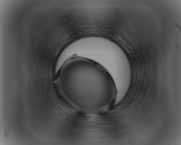 X0000091910516200709191322