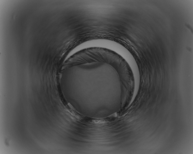 X0000091910520200709191322