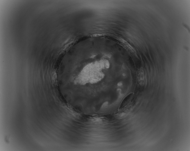 X0000091910523200709191322