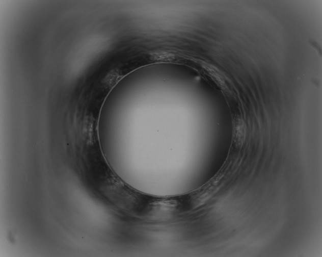 X0000091910525200709191322