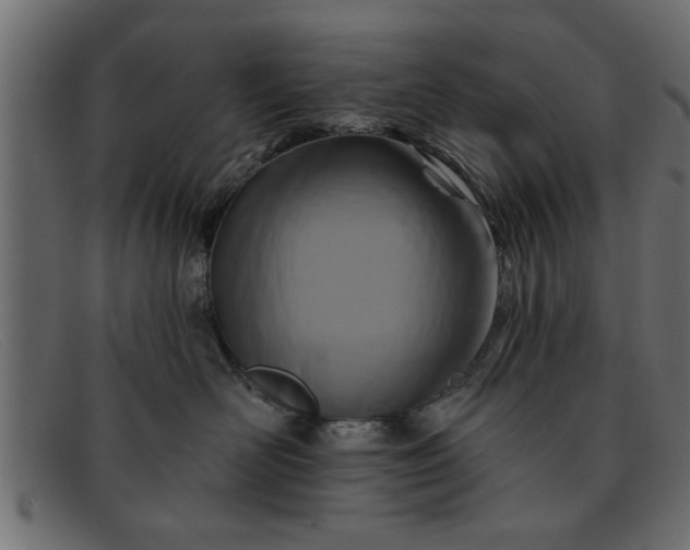 X0000091910526200709191322