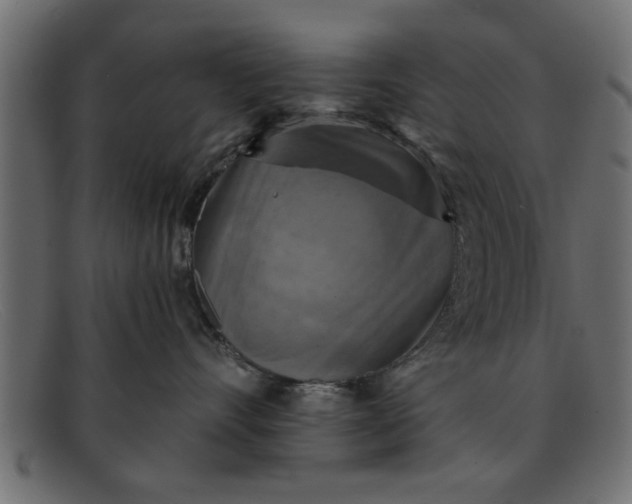 X0000091910528200709191322