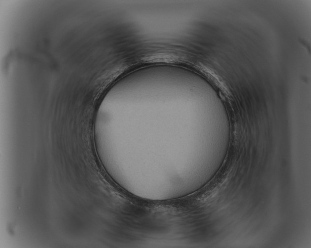 X0000091910529200709191321