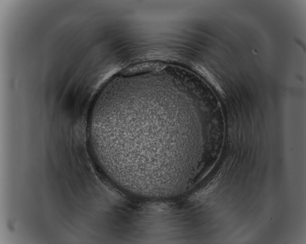 X0000091910530200709191321