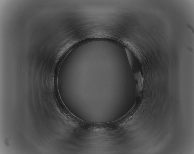 X0000091910531200709191321