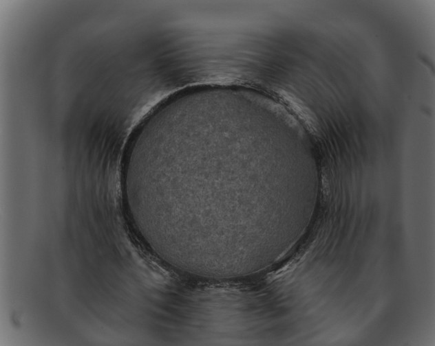 X0000091910532200709191321