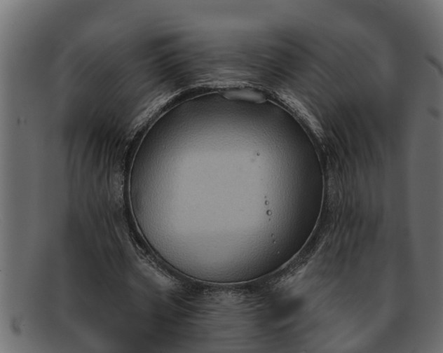 X0000091910533200709191321