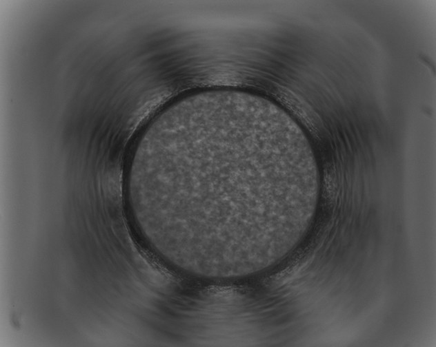 X0000091910534200709191321