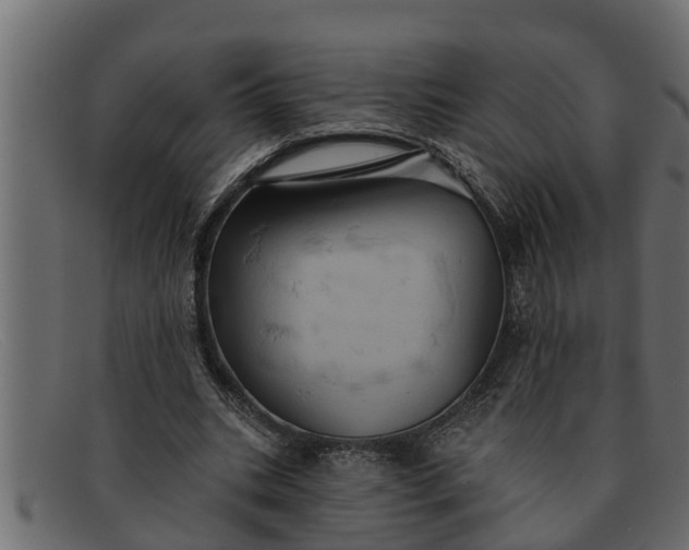 X0000091910535200709191321