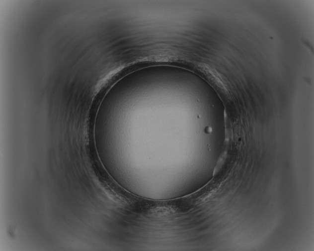 X0000091910536200709191321