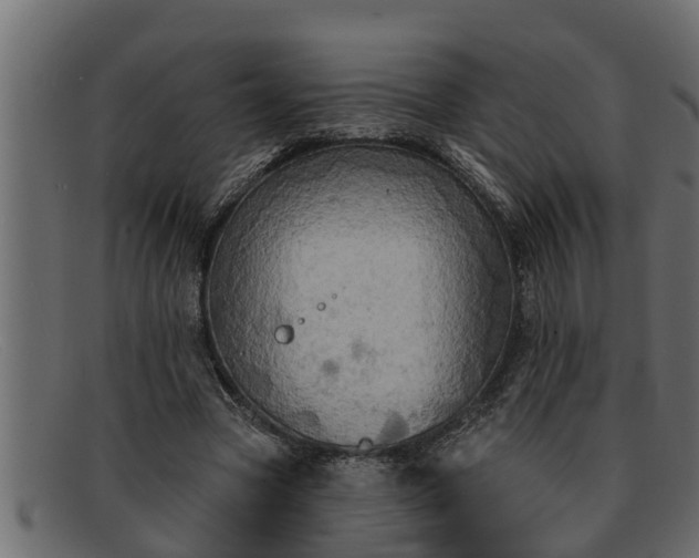 X0000091910537200709191321