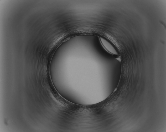 X0000091910538200709191321