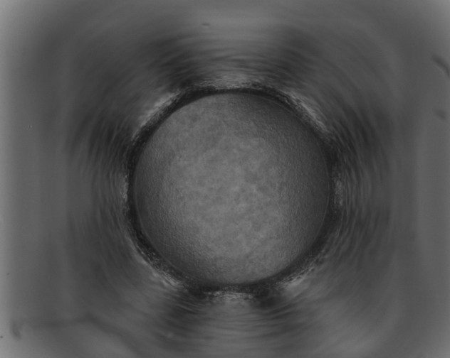 X0000091910539200709191321