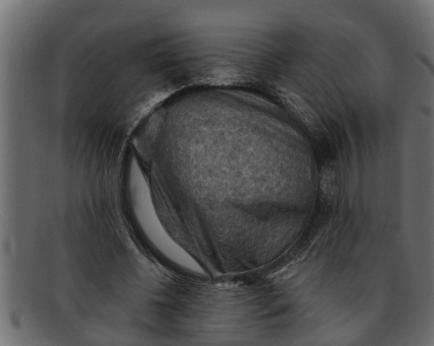 X0000091910540200709191322