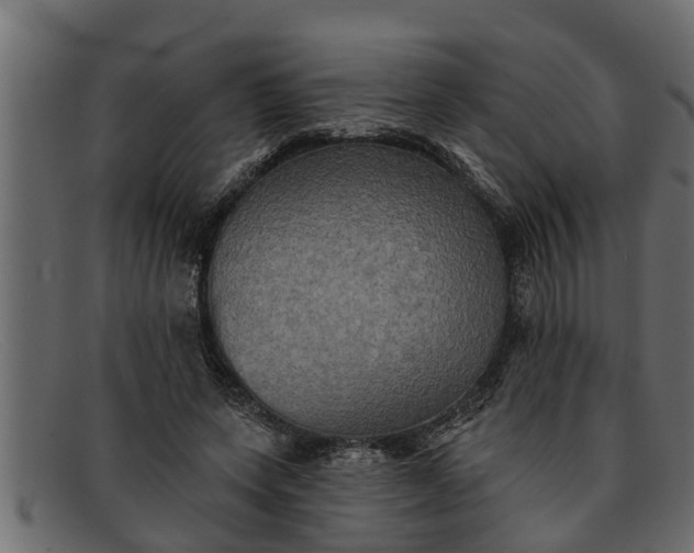 X0000091910543200709191322