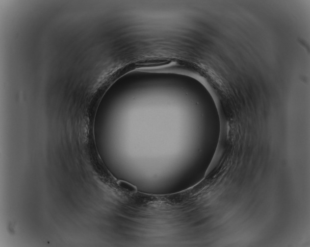 X0000091910544200709191322