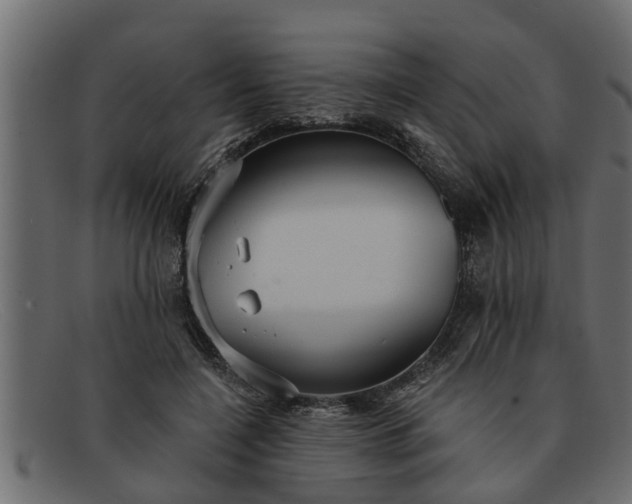 X0000091910548200709191322