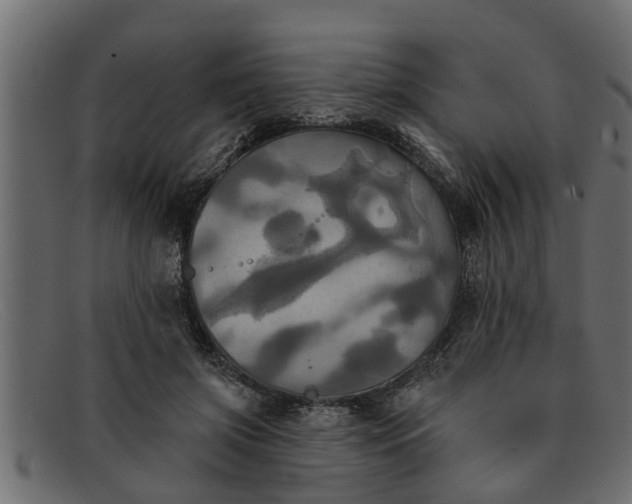 X0000091910549200709191322