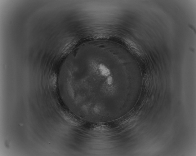 X0000091910550200709191322