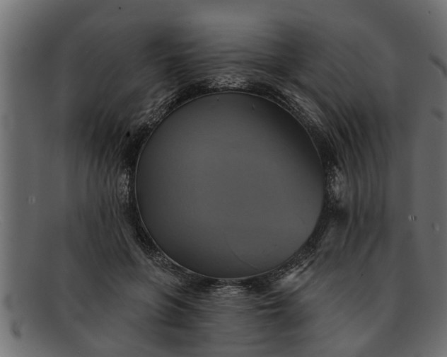 X0000091910551200709191322