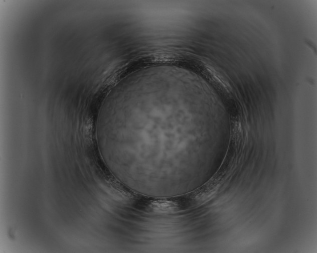 X0000091910557200709191322