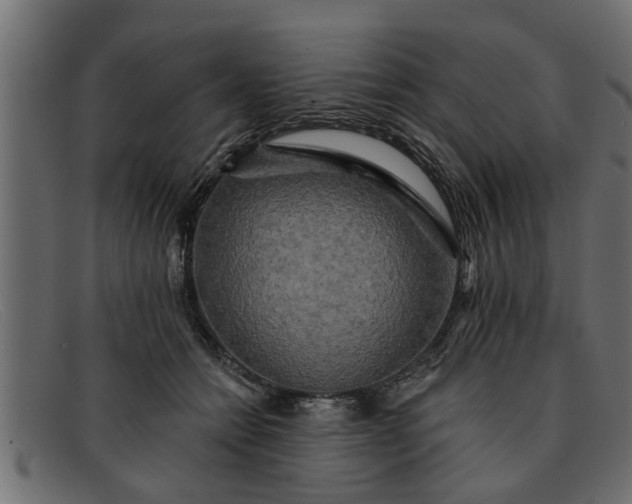 X0000091910558200709191322