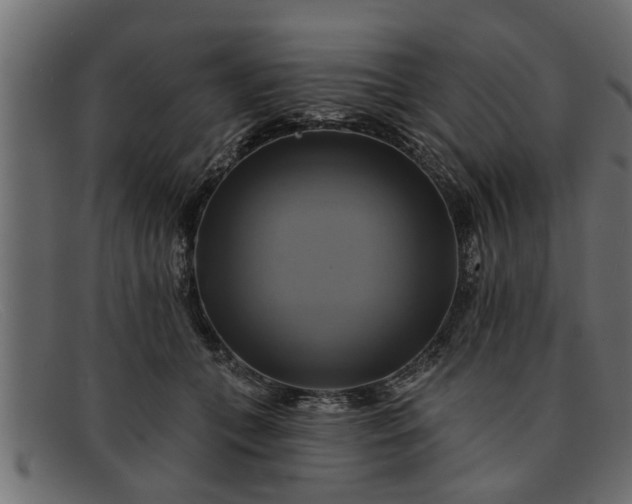 X0000091910559200709191322