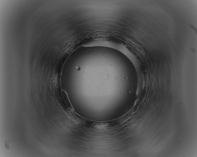 X0000091910560200709191322