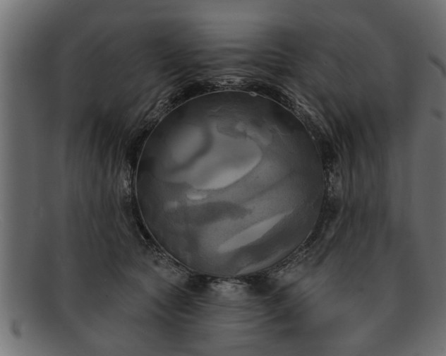 X0000091910561200709191322