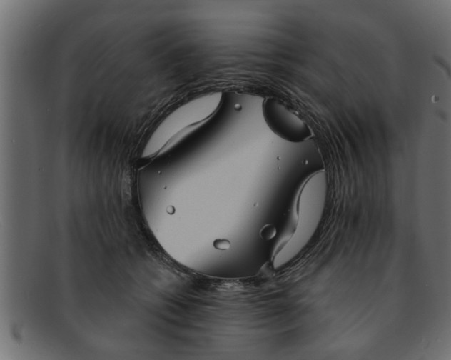 X0000091910562200709191322