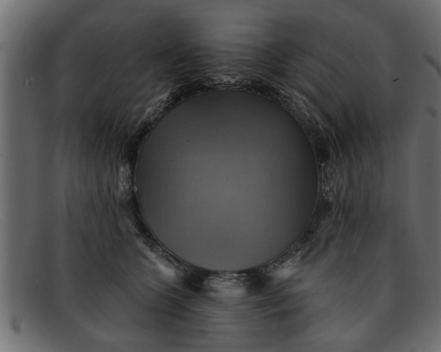 X0000091910563200709191322