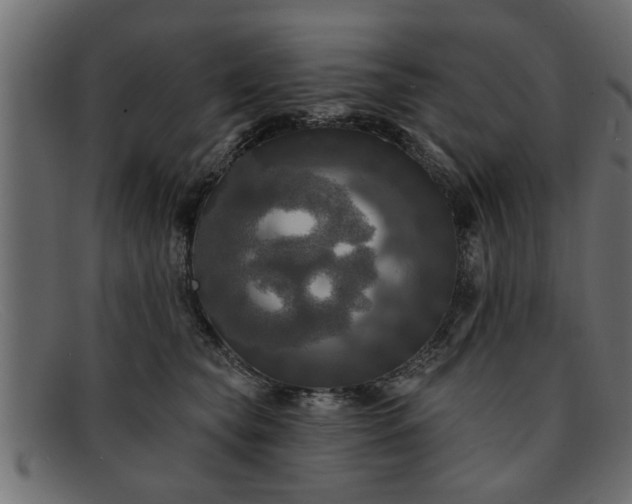 X0000091910565200709191322