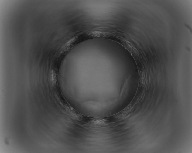 X0000091910569200709191322