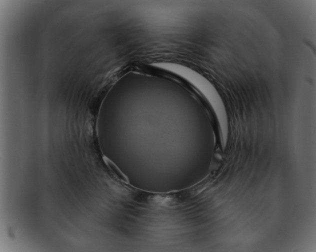 X0000091910570200709191322