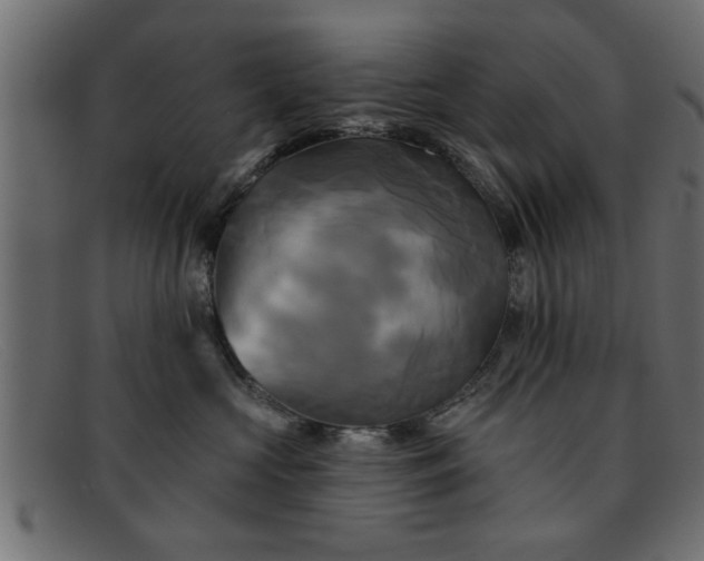 X0000091910573200709191322