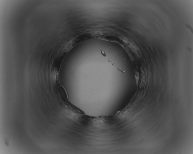 X0000091910574200709191322