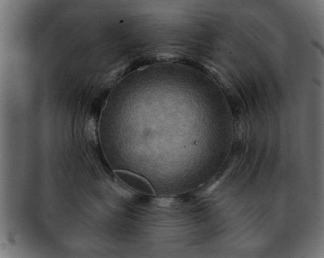 X0000091910575200709191322