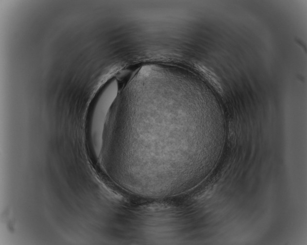 X0000091910578200709191321