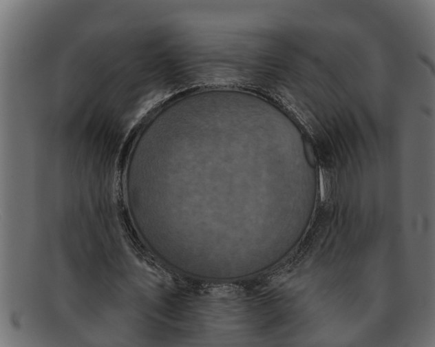 X0000091910579200709191321