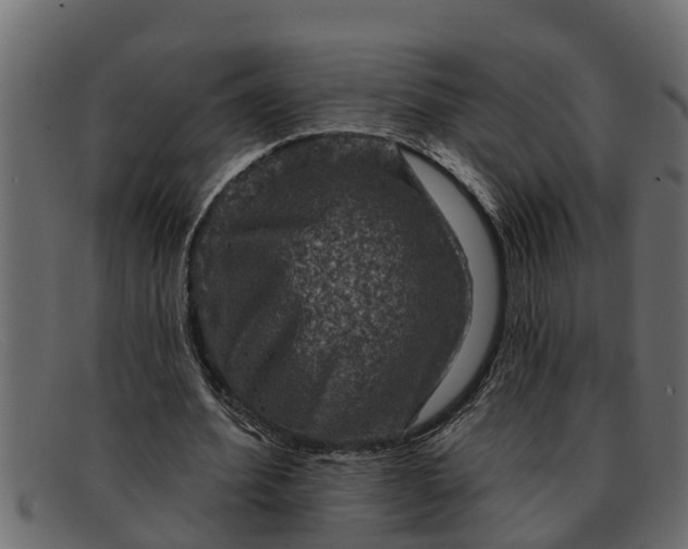 X0000091910580200709191321