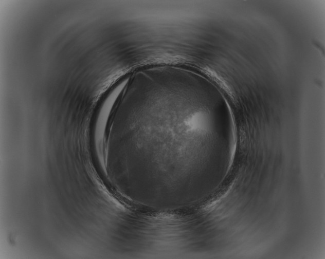 X0000091910581200709191321