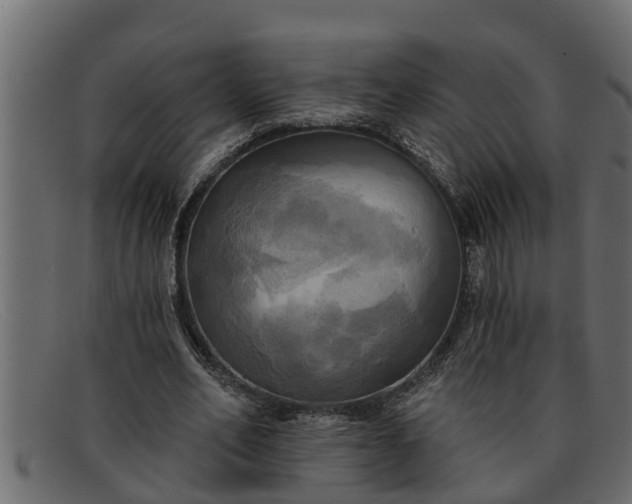 X0000091910582200709191321