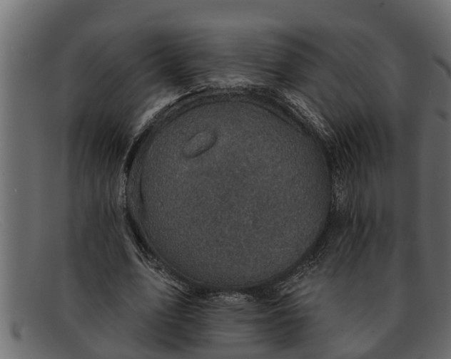 X0000091910583200709191321