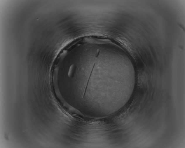 X0000091910584200709191321