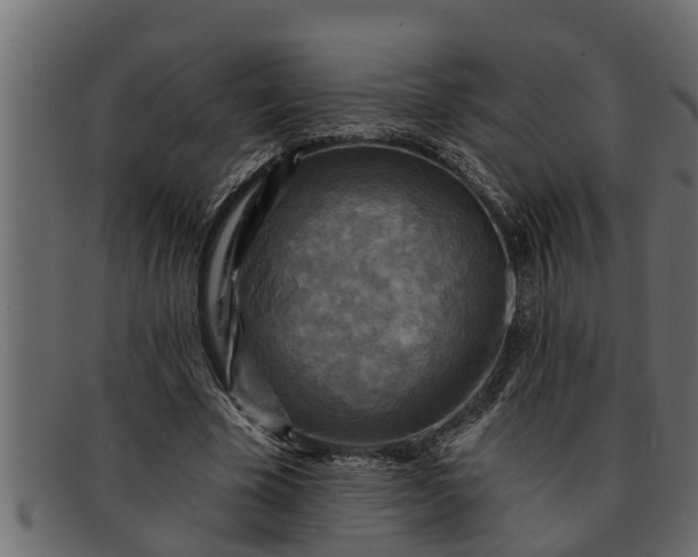 X0000091910585200709191321